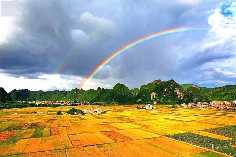 苹塘镇未来繁荣蓝图，最新发展规划揭秘