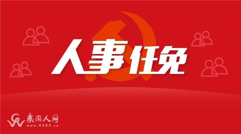 武冈市人民政府办公室人事任命，开启城市发展的新篇章