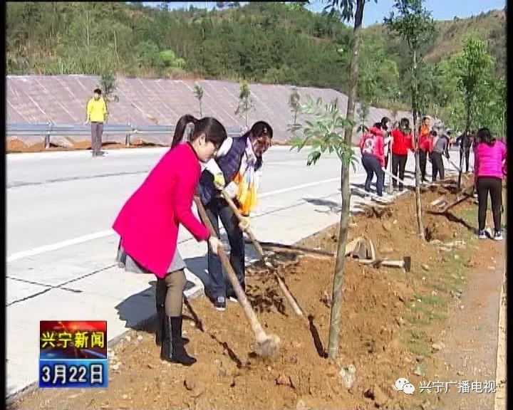 刁坊镇新领导引领开启发展新篇章