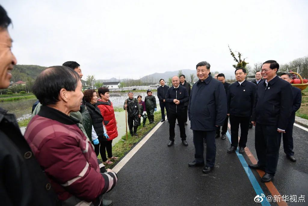 蒋家沟村委会最新动态报道