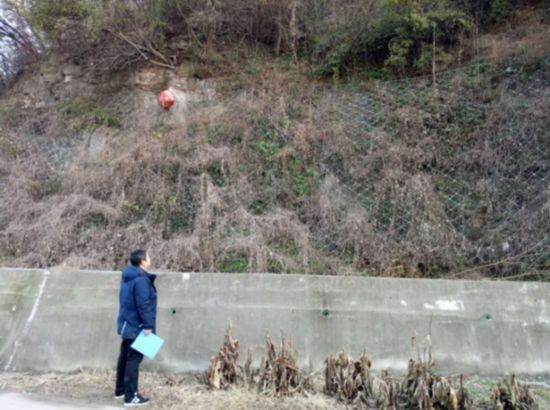 郑陆良种繁育场天气预报更新通知