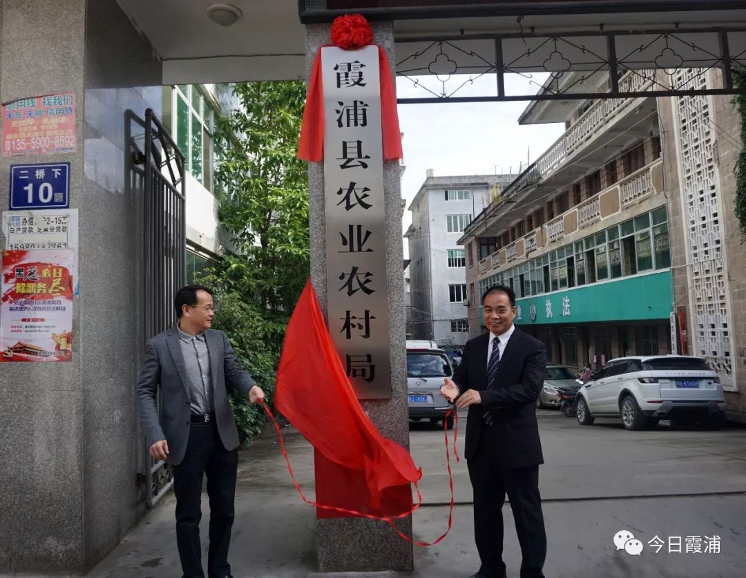 辽中县发展和改革局最新项目进展动态