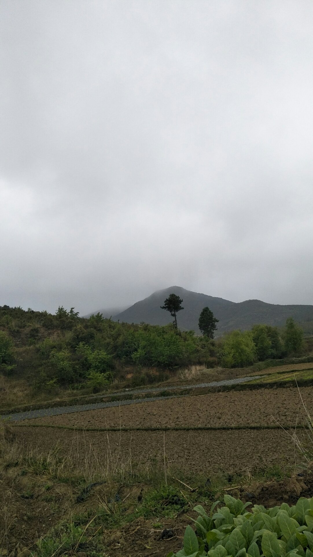 帕比村今日天气预报